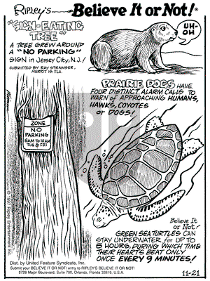 Ripley's Believe It or Not on Friday November 21, 1997 Comic Strip