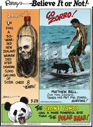 Ripley's Believe It or Not on Wednesday May 29, 2013 Comic Strip