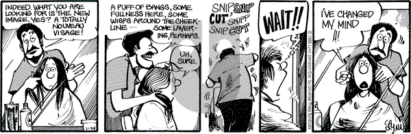 For Better or For Worse on Wednesday January 24, 1996 Comic Strip