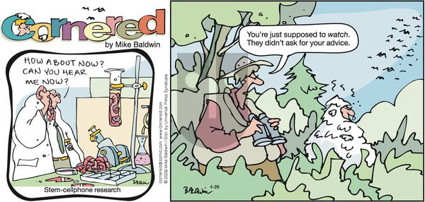 Cornered on Sunday April 26, 2009 Comic Strip