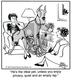 Marmaduke on Thursday November 20, 1997 Comic Strip