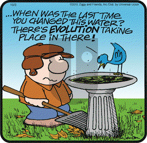 Ziggy on Saturday October 3, 2015 Comic Strip