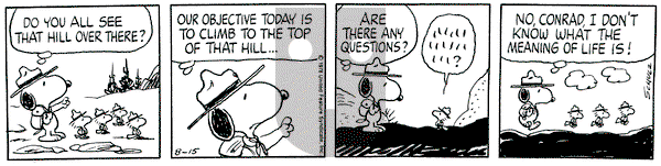 Peanuts on Tuesday August 15, 1978 Comic Strip