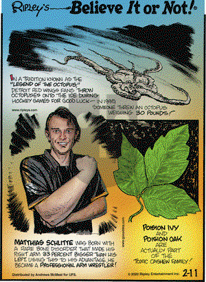 Ripley's Believe It or Not on Tuesday February 11, 2020 Comic Strip