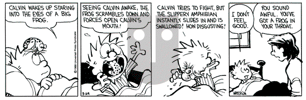 Calvin and Hobbes on Tuesday March 29, 1988 Comic Strip