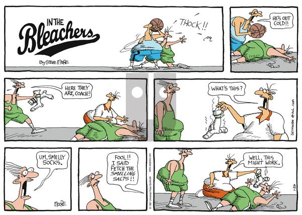 In the Bleachers on Sunday January 26, 1997 Comic Strip