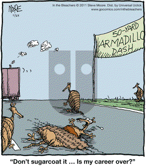 In the Bleachers on Thursday November 24, 2011 Comic Strip