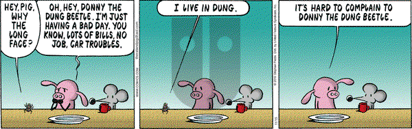 Pearls Before Swine - Monday November 15, 2010 Comic Strip