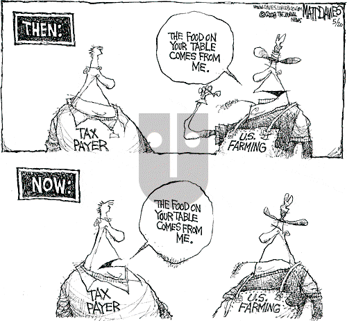 Matt Davies on Tuesday May 20, 2008 Comic Strip