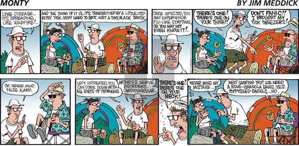 Monty on Sunday August 27, 2017 Comic Strip