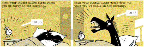 Dark Side of the Horse - Wednesday February 20, 2013 Comic Strip