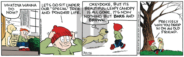 Red and Rover on Thursday November 5, 2009 Comic Strip