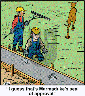 Marmaduke - Thursday August 1, 2024 Comic Strip