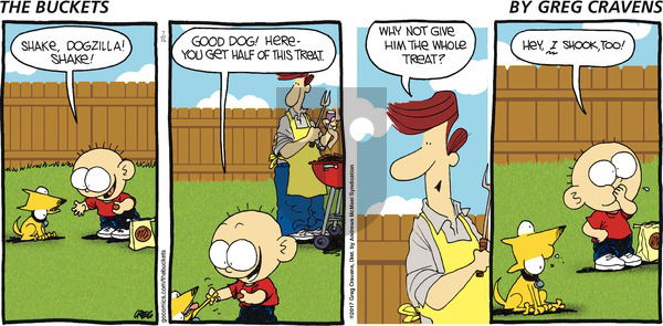 The Buckets on Sunday July 16, 2017 Comic Strip