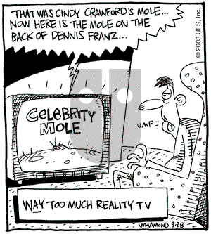Reality Check on Friday March 28, 2003 Comic Strip