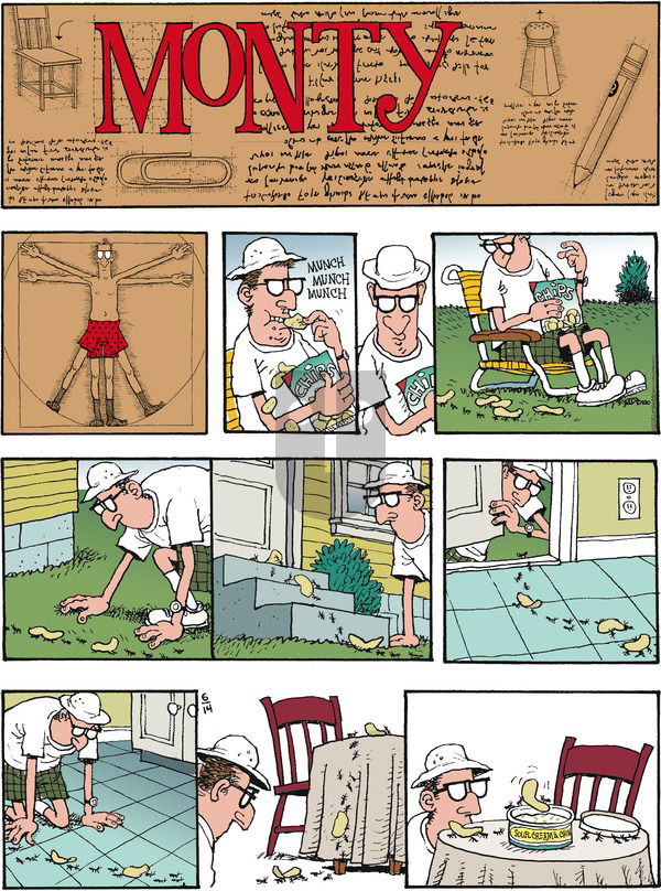 Monty on Sunday June 14, 2020 Comic Strip