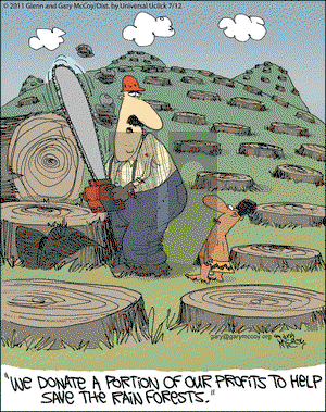 The Flying McCoys on Tuesday July 12, 2011 Comic Strip