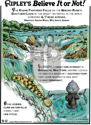 Ripley's Believe It or Not - Saturday October 12, 2024 Comic Strip