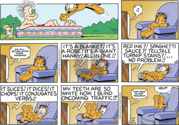 Garfield - Sunday July 18, 2010 Comic Strip