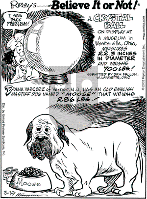 Ripley's Believe It or Not - Friday March 15, 2002 Comic Strip
