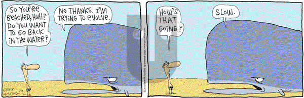 The Duplex on Wednesday July 1, 2015 Comic Strip