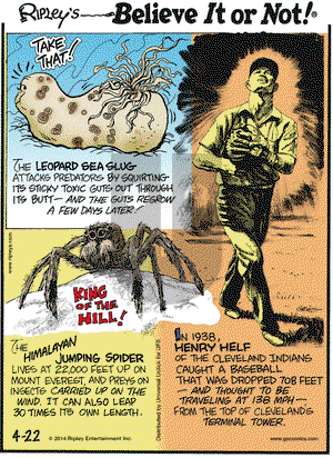 Ripley's Believe It or Not on Tuesday April 22, 2014 Comic Strip