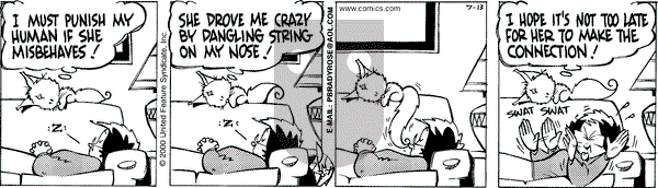 Rose is Rose on Thursday July 13, 2000 Comic Strip