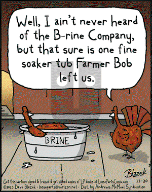 Loose Parts - Monday November 20, 2023 Comic Strip
