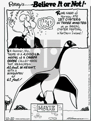 Ripley's Believe It or Not on Monday October 20, 2003 Comic Strip