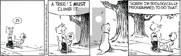 Red and Rover on Friday June 29, 2007 Comic Strip