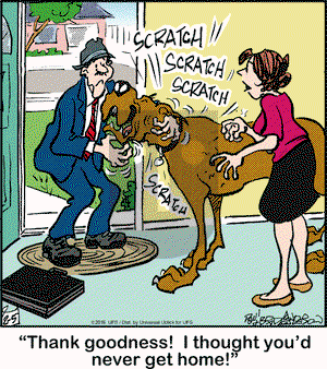 Marmaduke on Friday February 5, 2016 Comic Strip