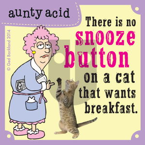 Aunty Acid on Saturday August 30, 2014 Comic Strip