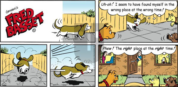 Fred Basset on Sunday February 8, 2015 Comic Strip