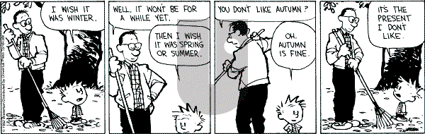 Calvin and Hobbes - Tuesday October 20, 1992 Comic Strip