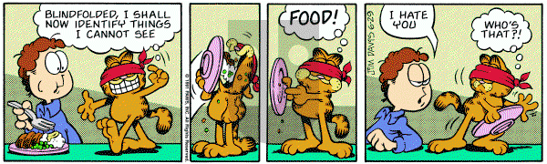 Garfield on Saturday June 29, 1991 Comic Strip