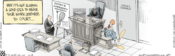 Non Sequitur - Wednesday June 2, 2010 Comic Strip