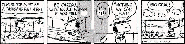Peanuts - Friday July 4, 1980 Comic Strip