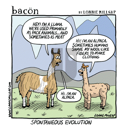 bacon - Friday January 12, 2018 Comic Strip