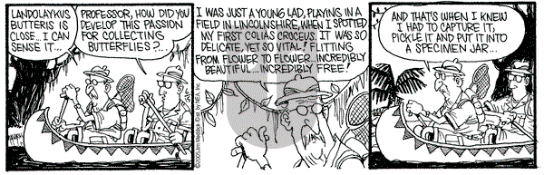 Monty on Wednesday June 15, 2005 Comic Strip