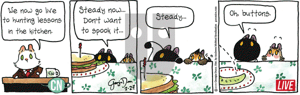 Breaking Cat News on Wednesday February 27, 2019 Comic Strip
