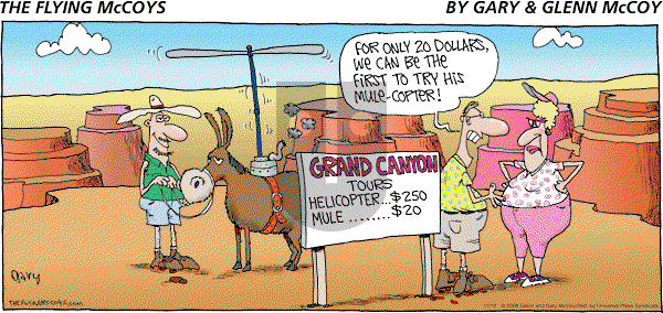 The Flying McCoys on Sunday November 16, 2008 Comic Strip