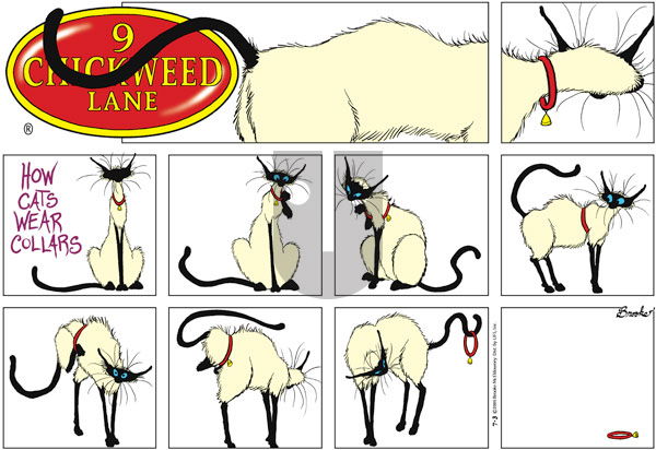 9 Chickweed Lane on Sunday July 3, 2005 Comic Strip