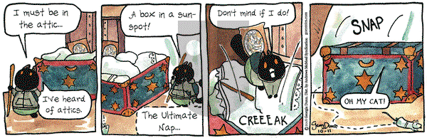 Breaking Cat News on Thursday October 11, 2018 Comic Strip