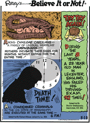 Ripley's Believe It or Not on Saturday May 19, 2012 Comic Strip