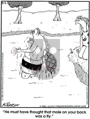 Close to Home on Wednesday August 5, 1998 Comic Strip