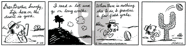 Peanuts on Tuesday March 20, 1984 Comic Strip