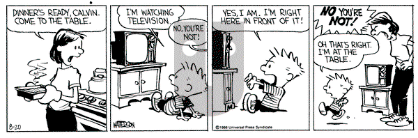 Calvin and Hobbes on Wednesday August 20, 1986 Comic Strip