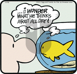 Ziggy on Monday November 16, 2015 Comic Strip