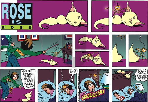 Rose is Rose on Sunday November 20, 2016 Comic Strip