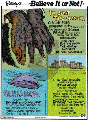 Ripley's Believe It or Not - Tuesday February 1, 2011 Comic Strip